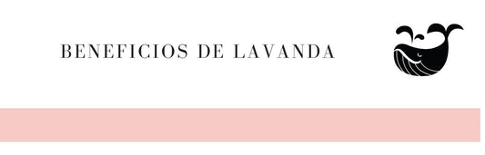 Beneficios de la lavanda