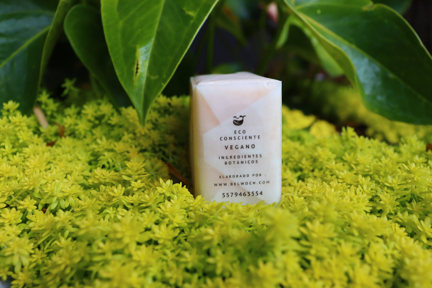 ACONDICIONADOR CABELLO RIZADO / ANTIFRIZZ