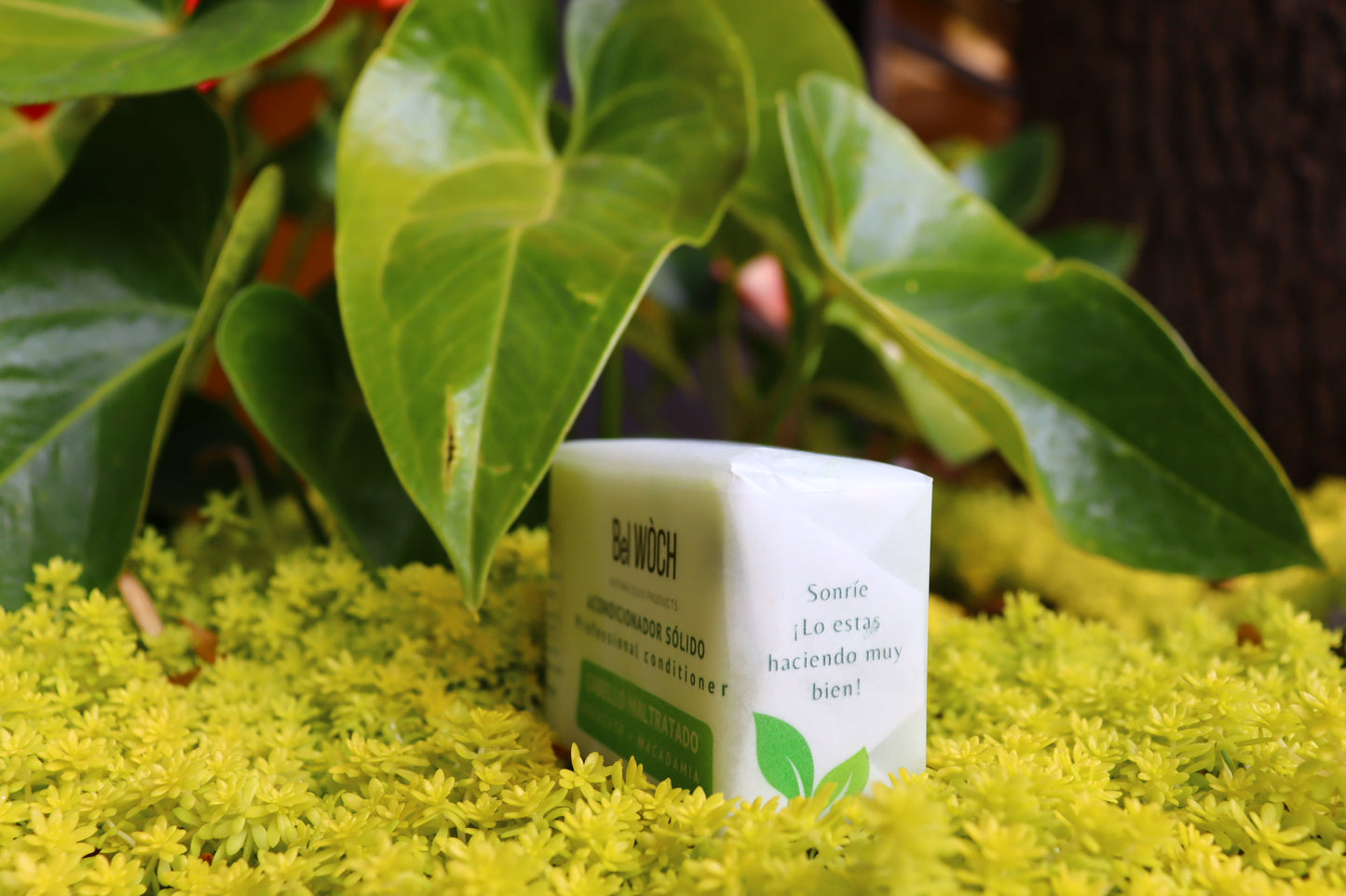 ACONDICIONADOR PARA CABELLO MALTRATADO AGUACATE + MACADAMIA