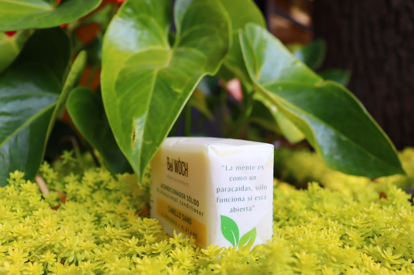 ACONDICIONADOR CABELLO SANO PLÁTANO