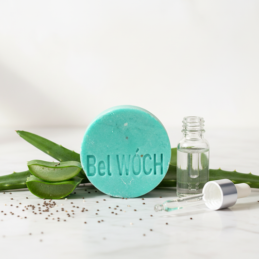 Shampoo Hidratante Cabello Seco — Bel WOCH